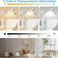 F4- Multifunctional Fan Light Ⓢ