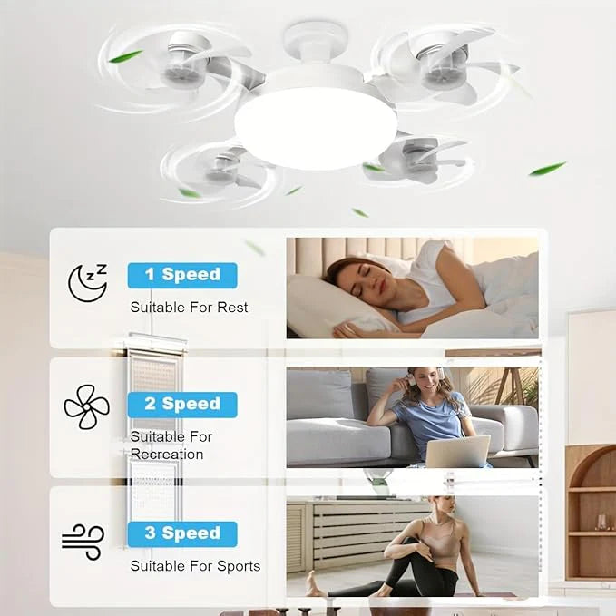F4- Multifunctional Fan Light Ⓢ